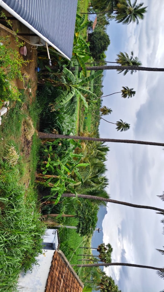 Sagar Dairy Farm